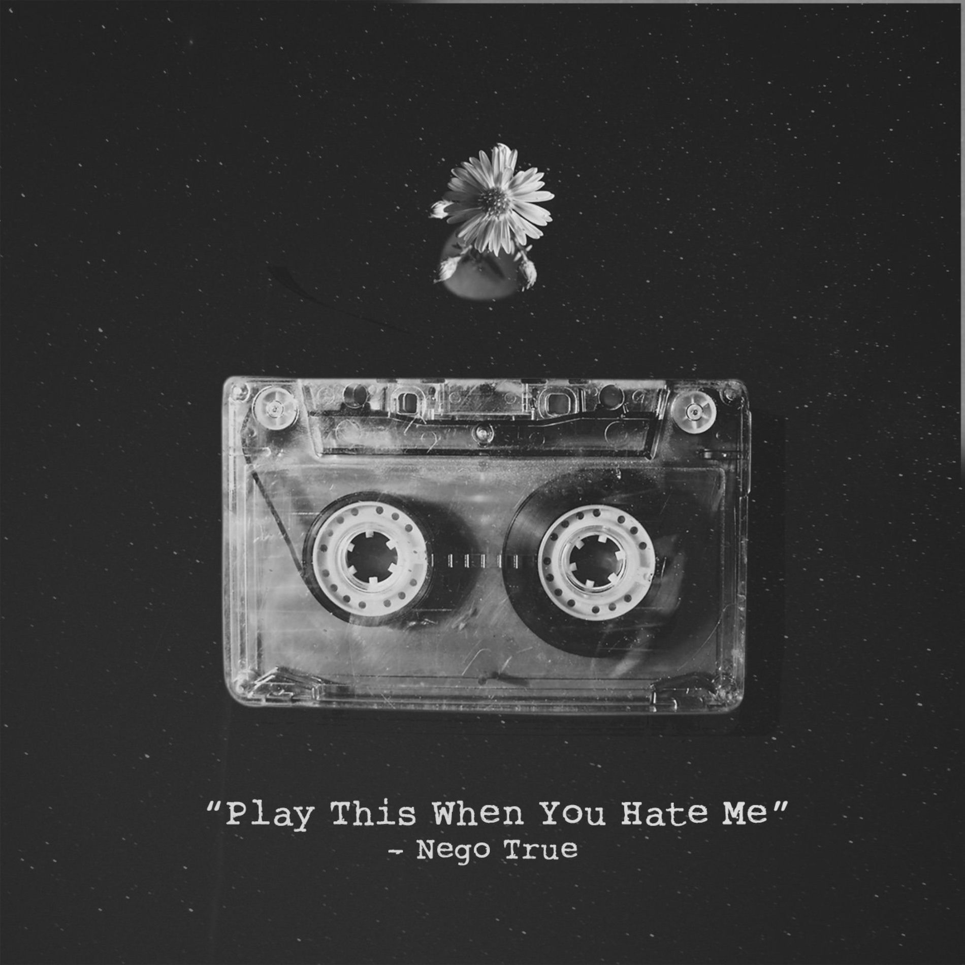 Album cover of Play This When You Hate Me