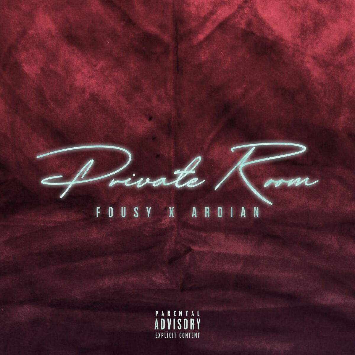 Album cover of Private Room