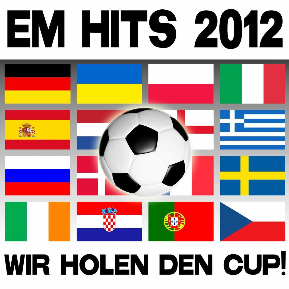 Album cover of Em Hits 2012 - Wir Holen Den Cup