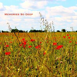 Cover of Memories so Deep