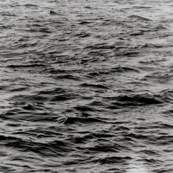 Cover of In-Between Music by undefined