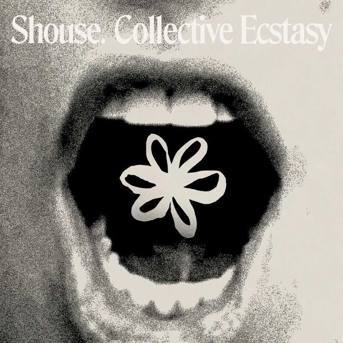 Album cover of Collective Ecstasy