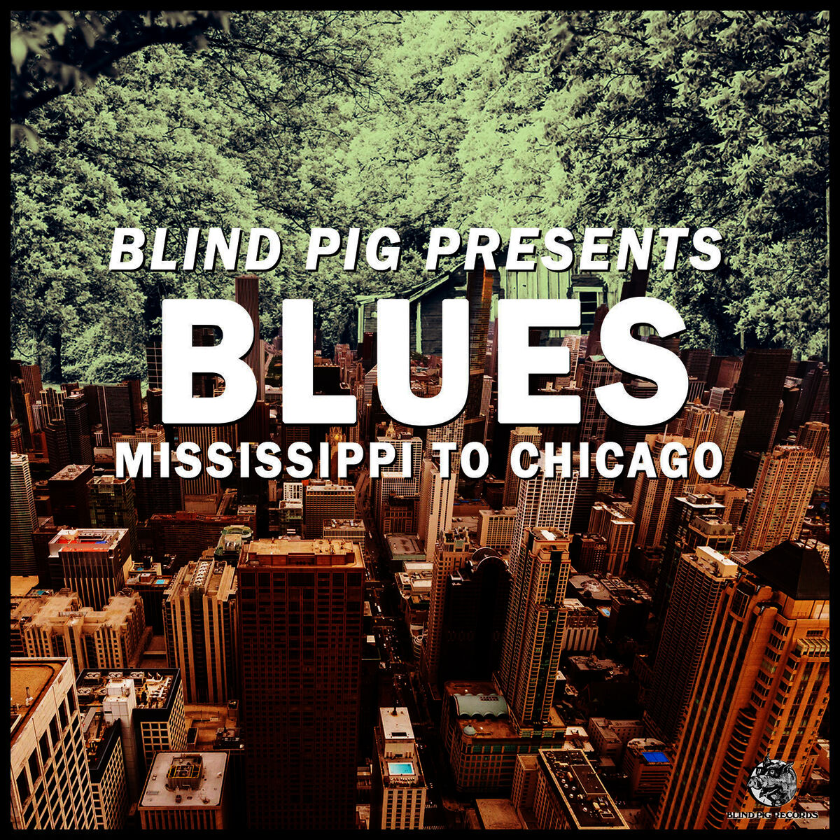 Album cover of Blind Pig Presents: Mississippi to Chicago Blues