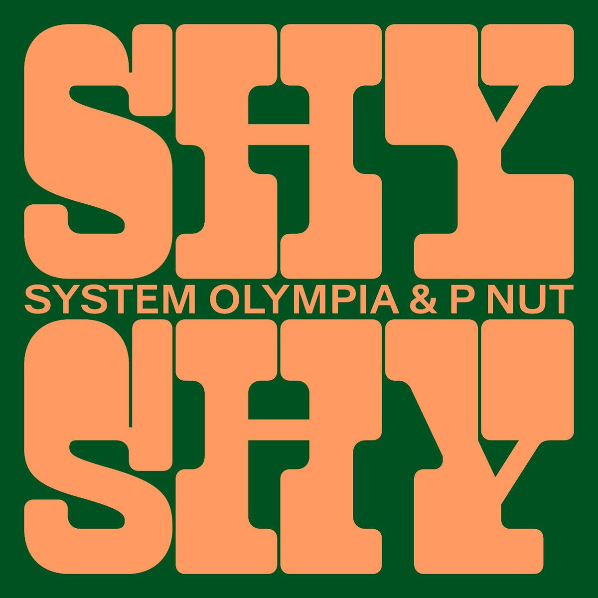 Album cover of Shy Shy