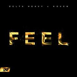 Cover of FEEL