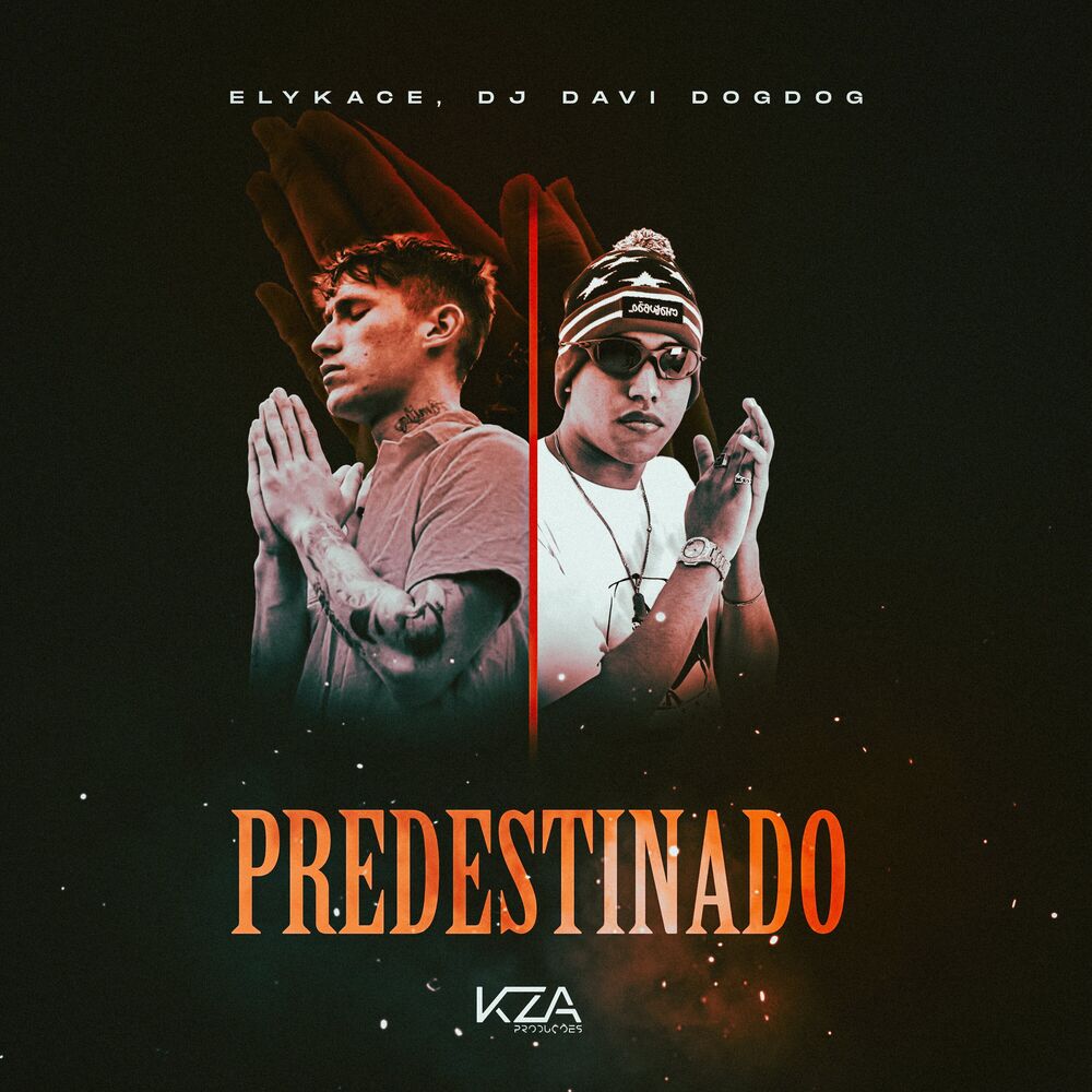 Picture of Predestinado