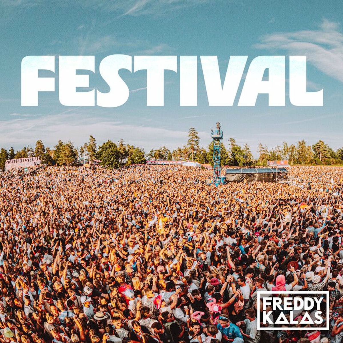 Album cover of Festival