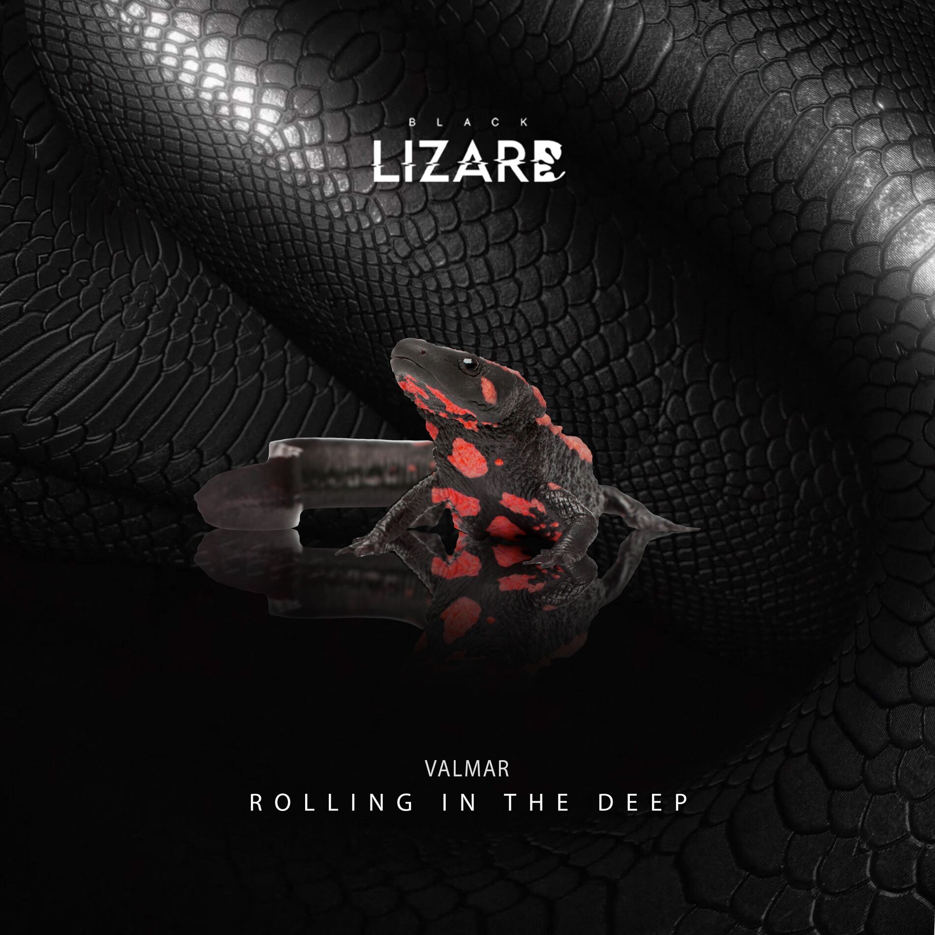 Album cover of Rolling In The Deep