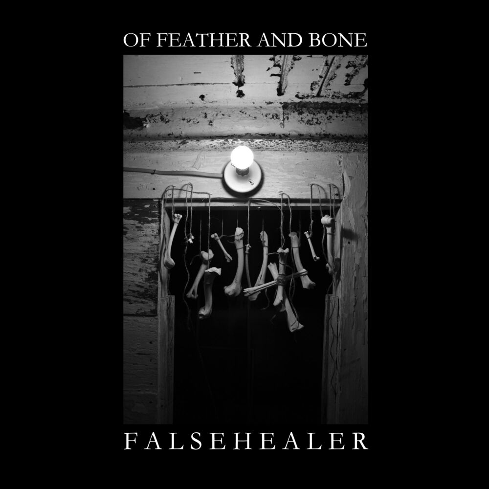 Picture of False Healer