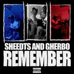 Cover of Remember
