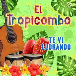 Cover of Te Vi Llorando