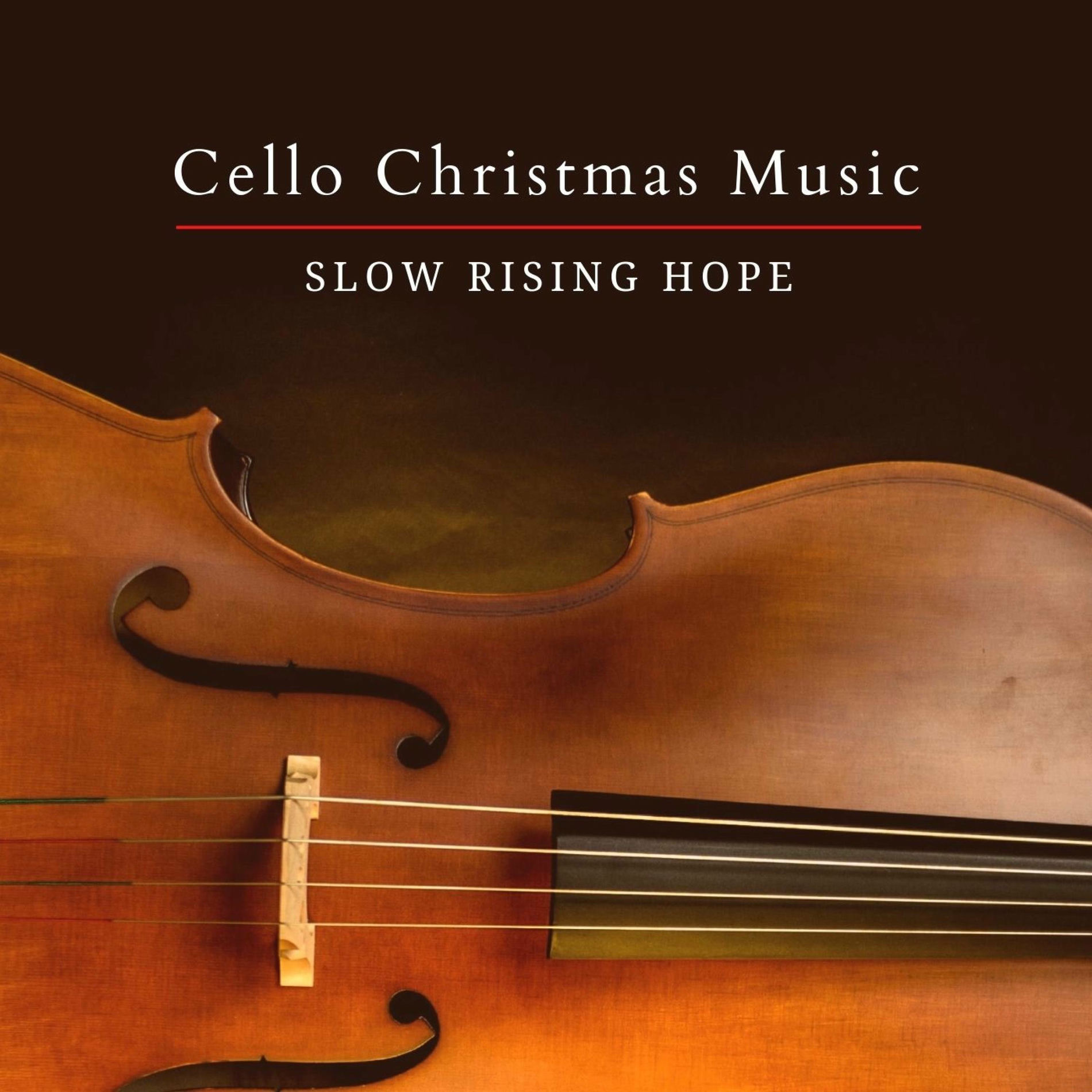 Album cover of Cello Christmas Music