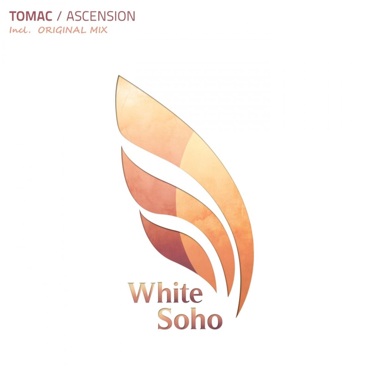 Album cover of Ascension