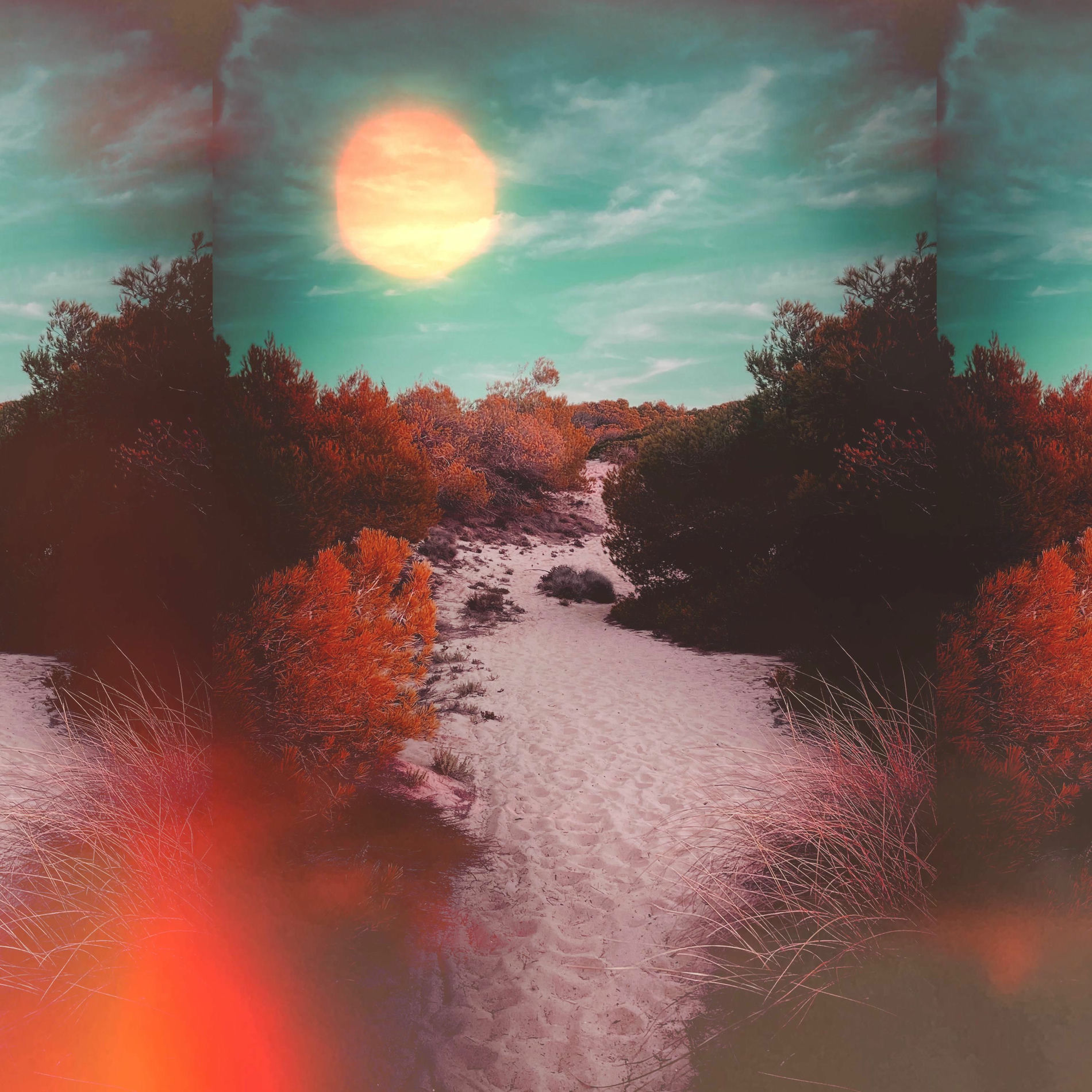 Album cover of Slow Sun