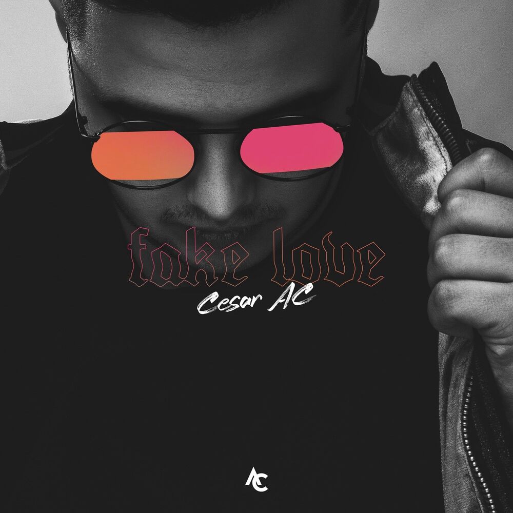 Picture of Fake Love