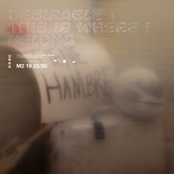 Cover of Desirable (Live)