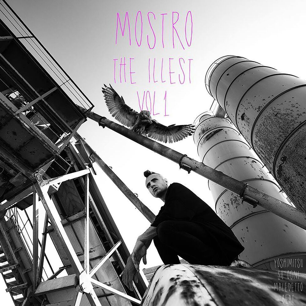 Picture of The Illest, Vol. 1