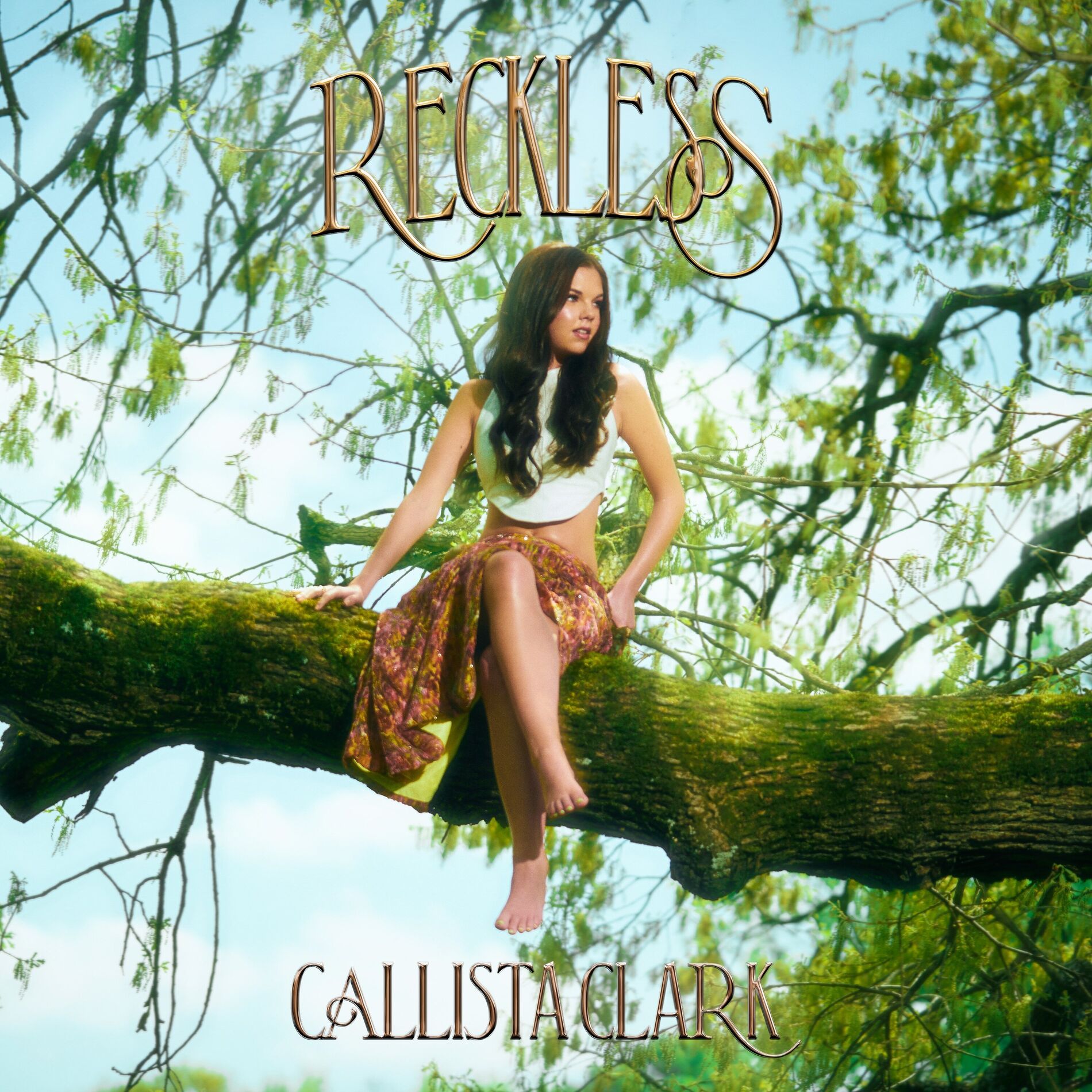 Album cover of Reckless