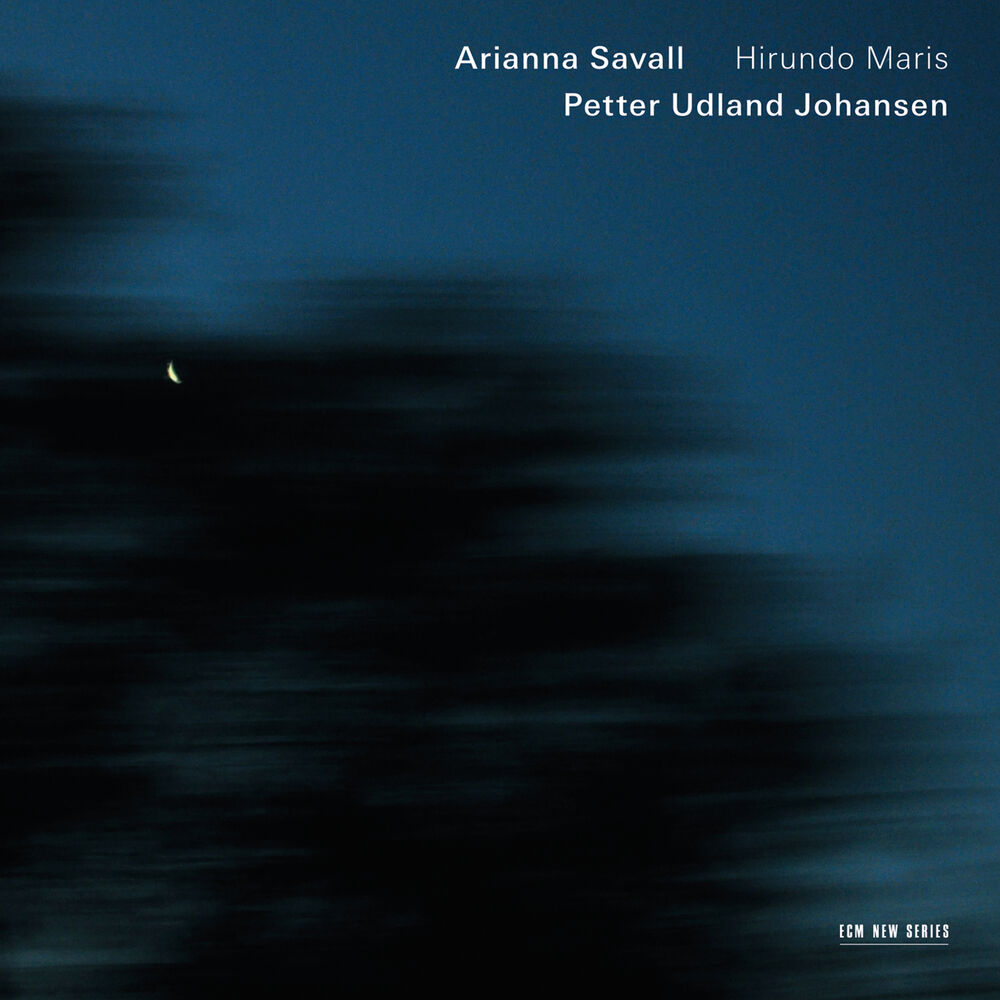 Picture of Hirundo Maris - Chants du Sud et du Nord