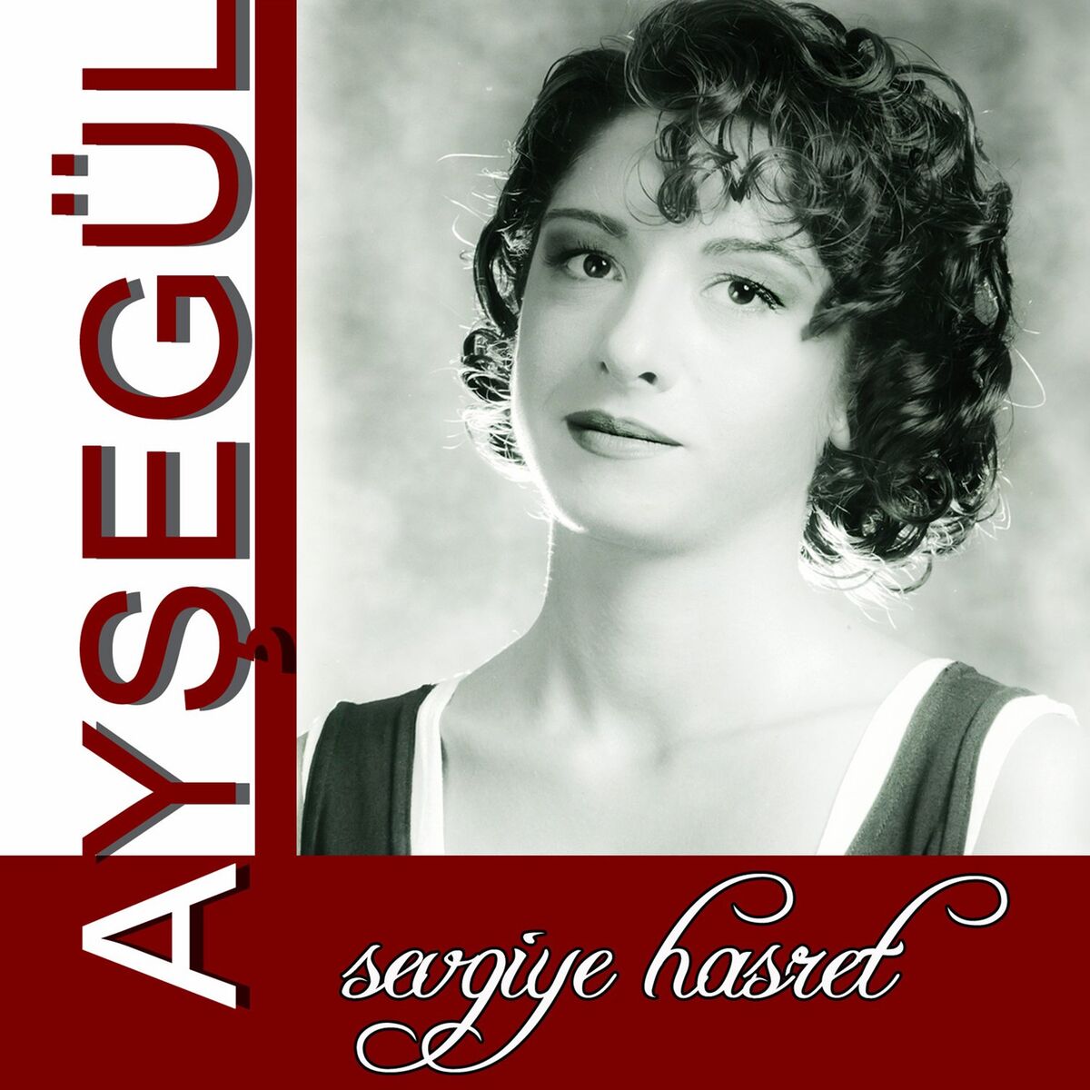 Album cover of Sevgiye Hasret