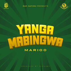 Cover of Yanga Mabingwa