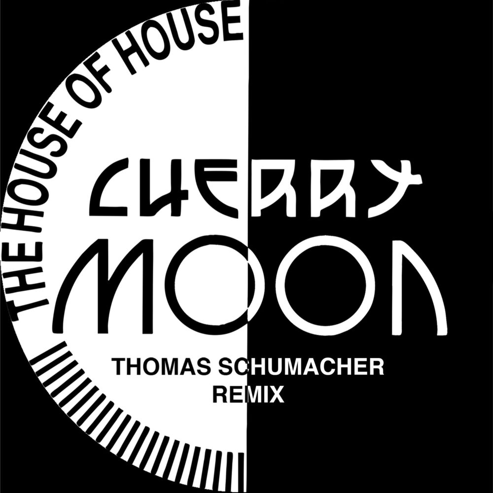 Picture of The House Of House (Thomas Schumacher Remix)