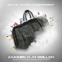Cover of Zakken Zijn Voller
