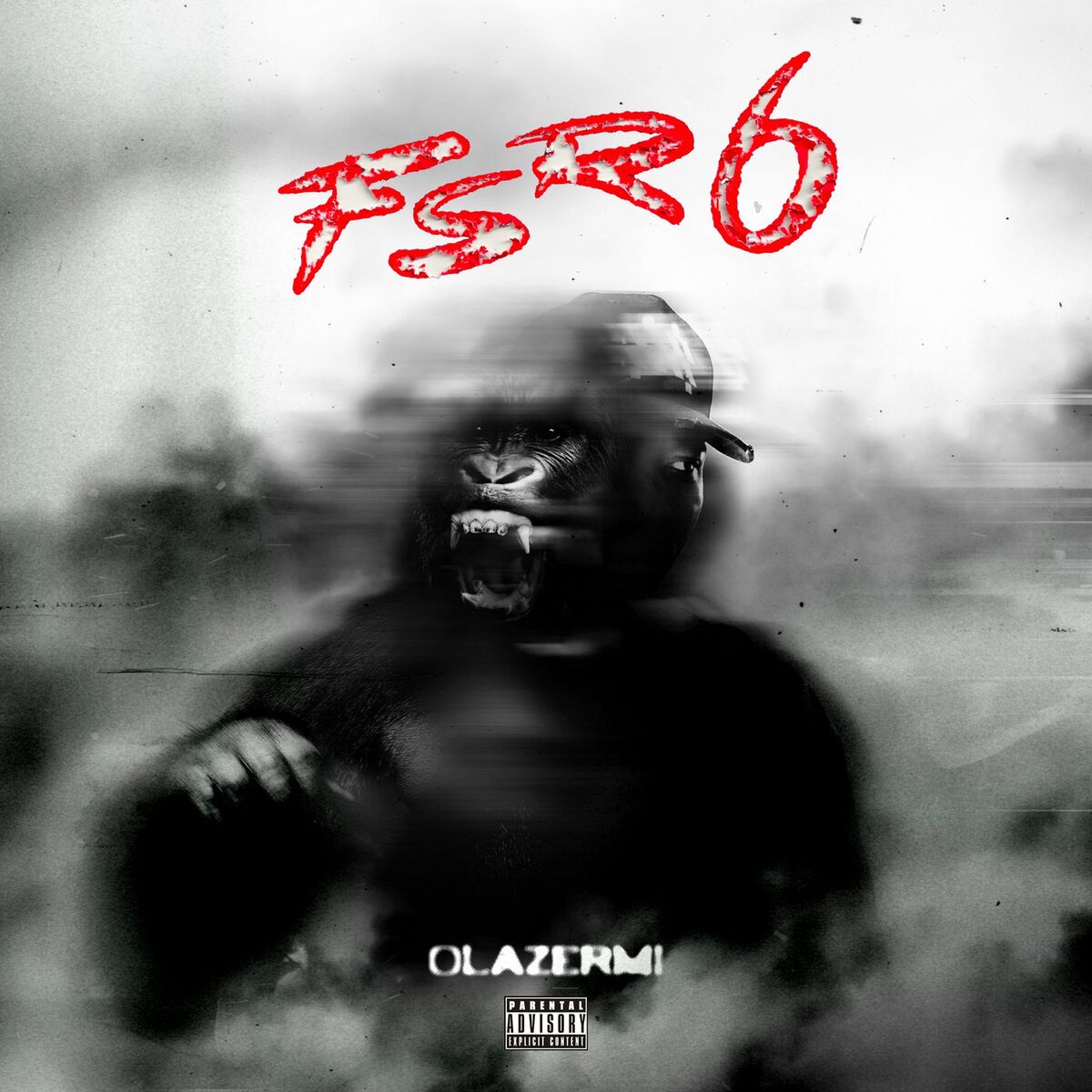 Album cover of FSR6