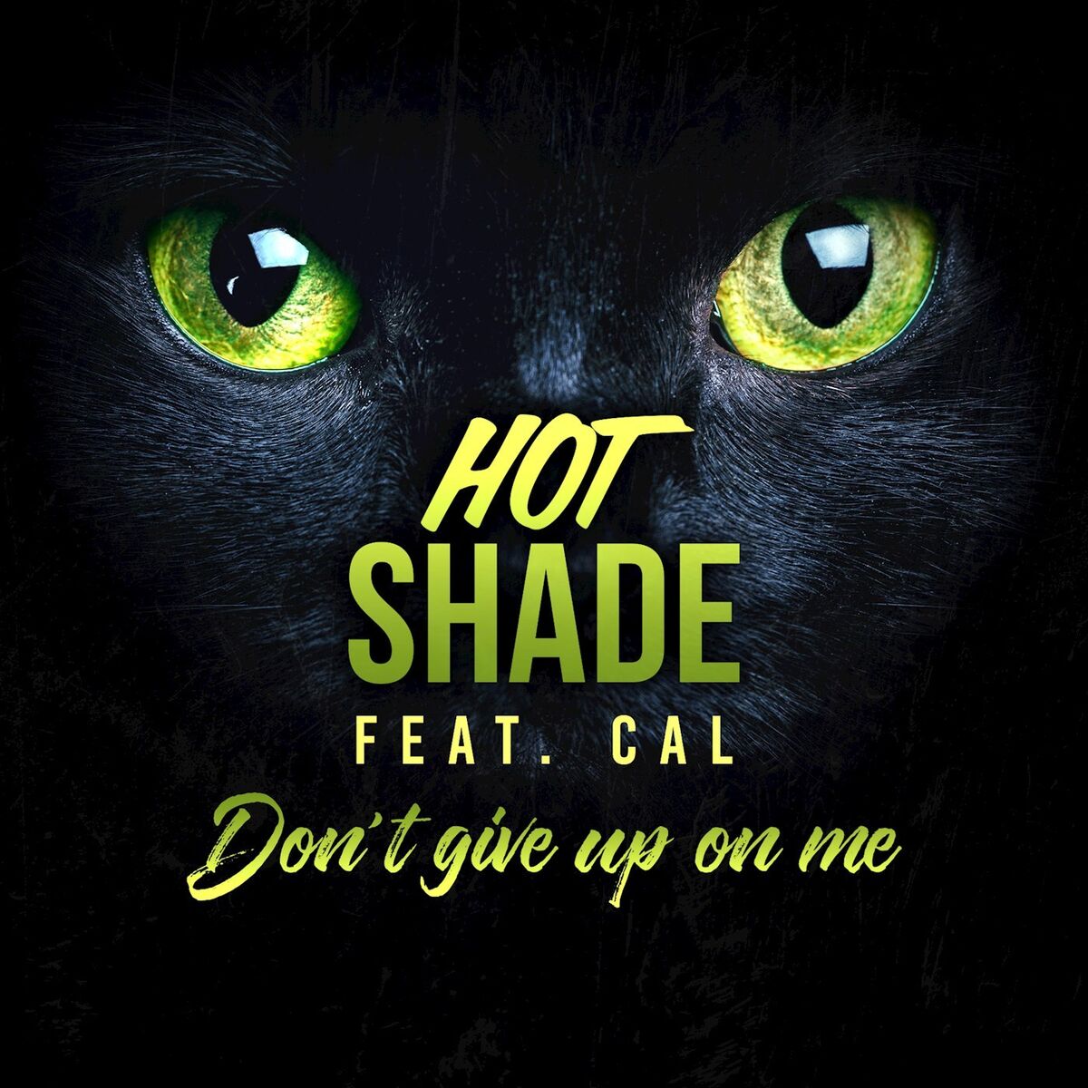 Album cover of Don't Give Up On Me