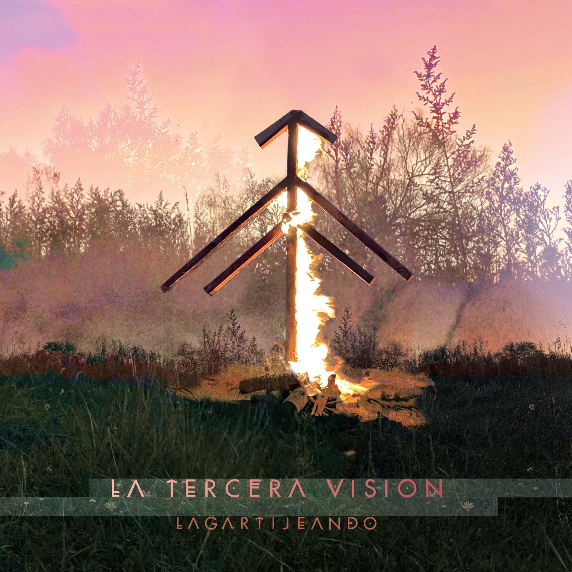 Album cover of La Tercera Vision