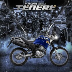Cover of TENERE