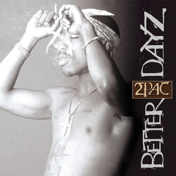 Cover of Better Dayz