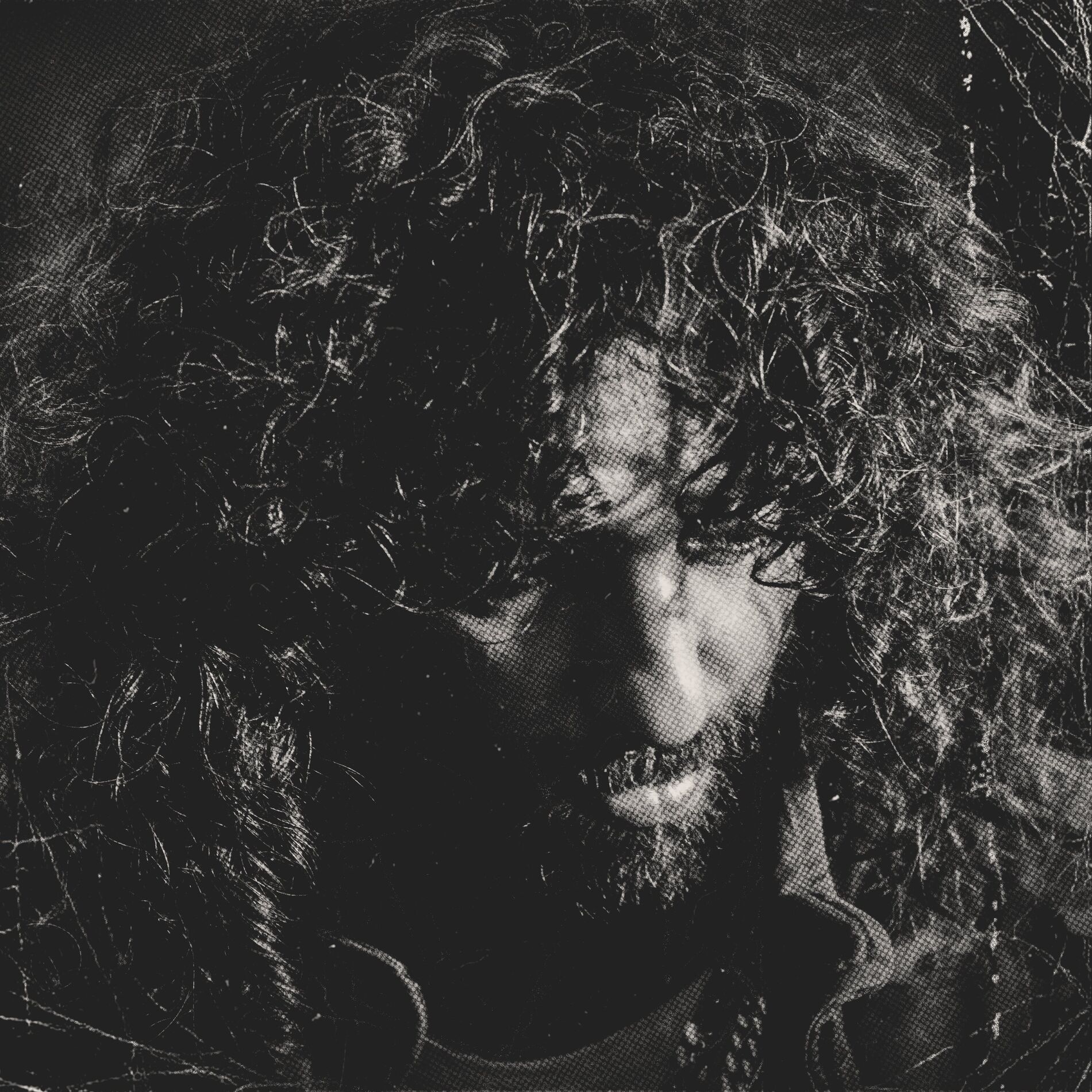 Album cover of גוף