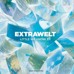 Cover of Little We Know