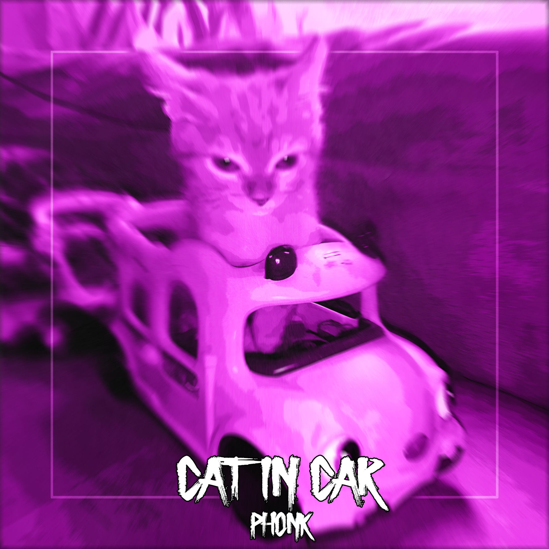 kitty様❾❻ Phonkinator - CAT IN CAR PHONK | Deezer