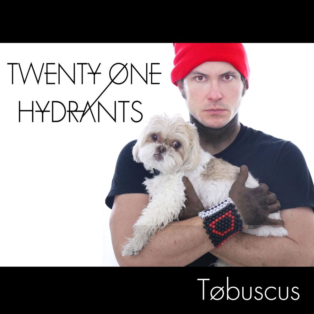 Picture of Twenty One Hydrants (Stressed out Parody)