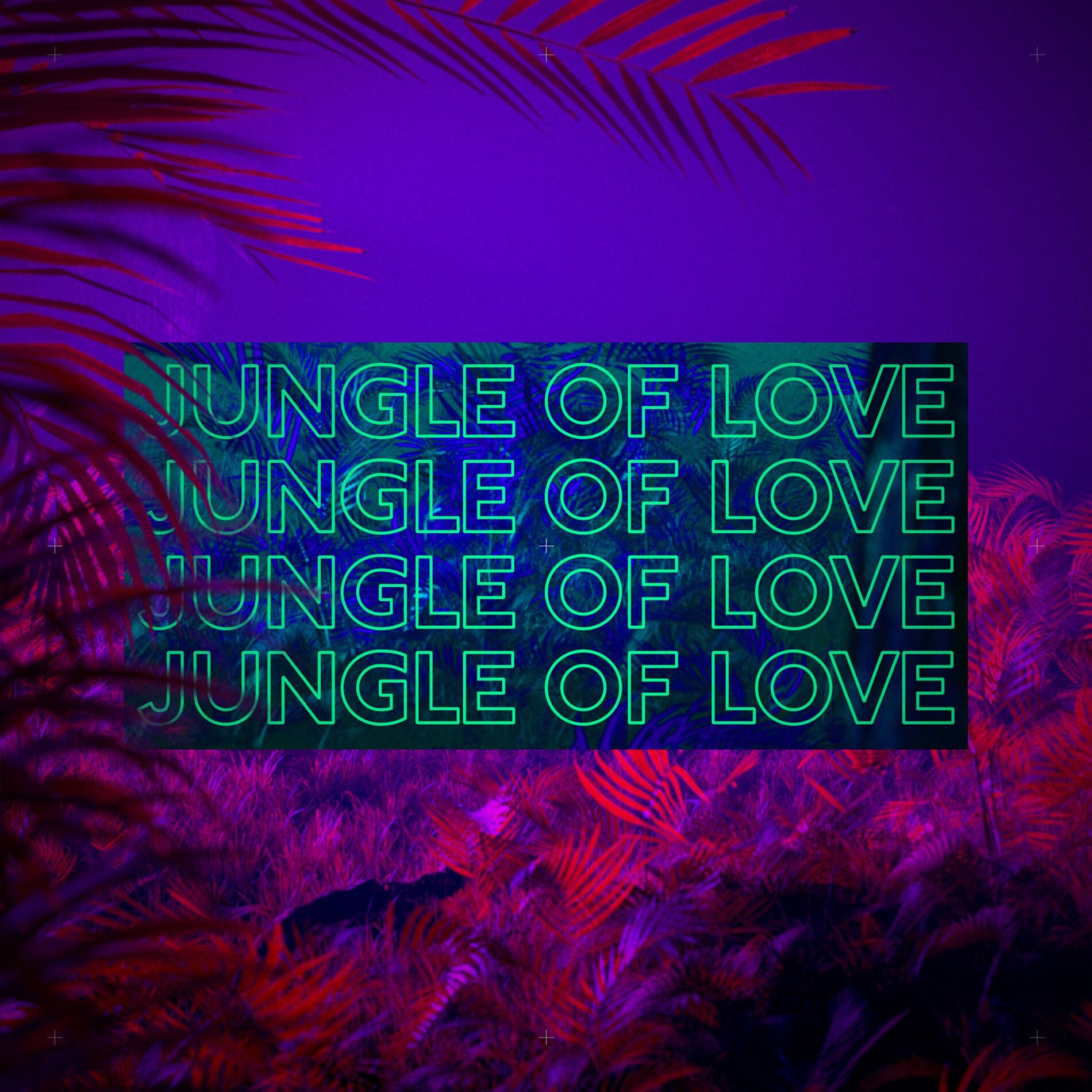 Album cover of Jungle of Love