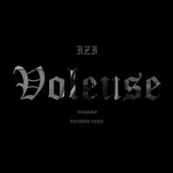 Cover of Voleuse
