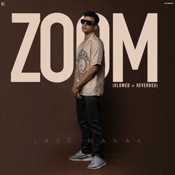 Cover of Zoom (Slowed & Reverb)