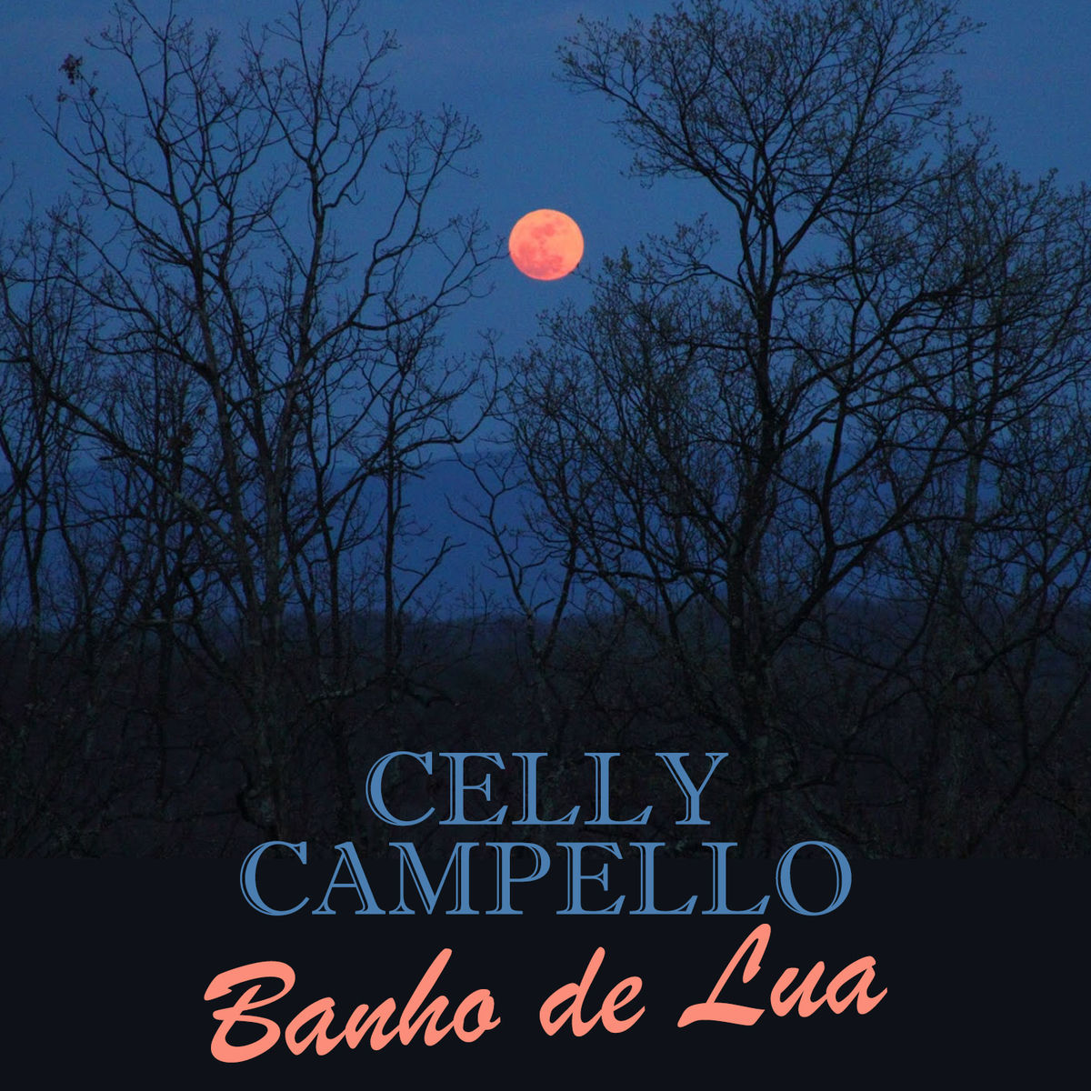 Album cover of Banho de Lua