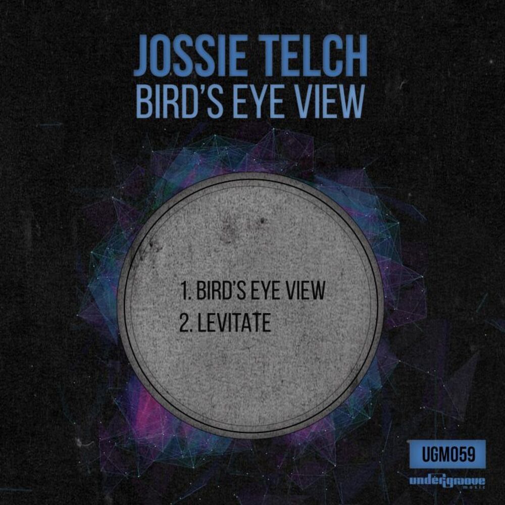 Picture of Bird's Eye View