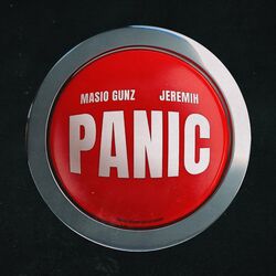 Cover of Panic
