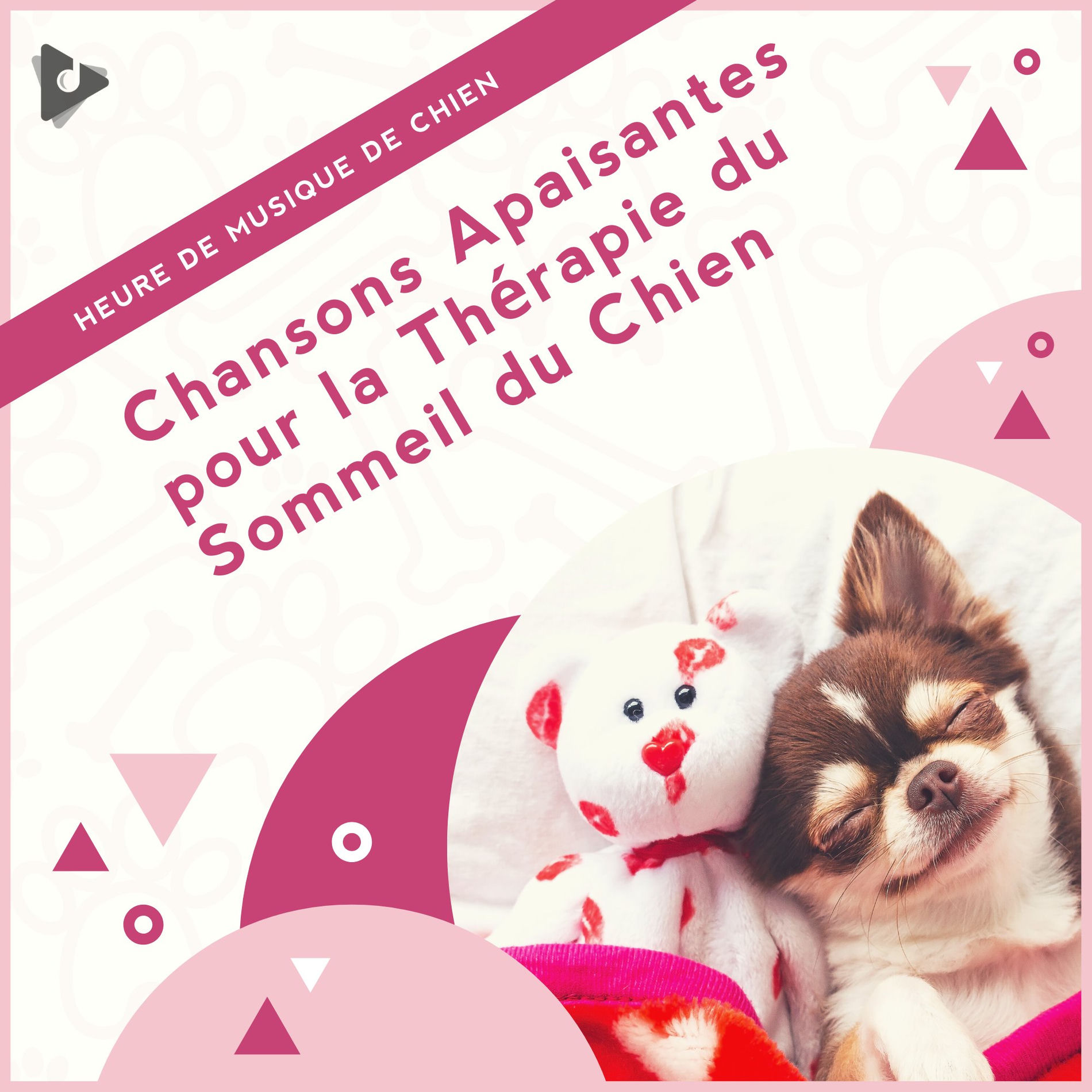Album cover of Chansons Apaisantes pour la Thérapie du Sommeil du Chien