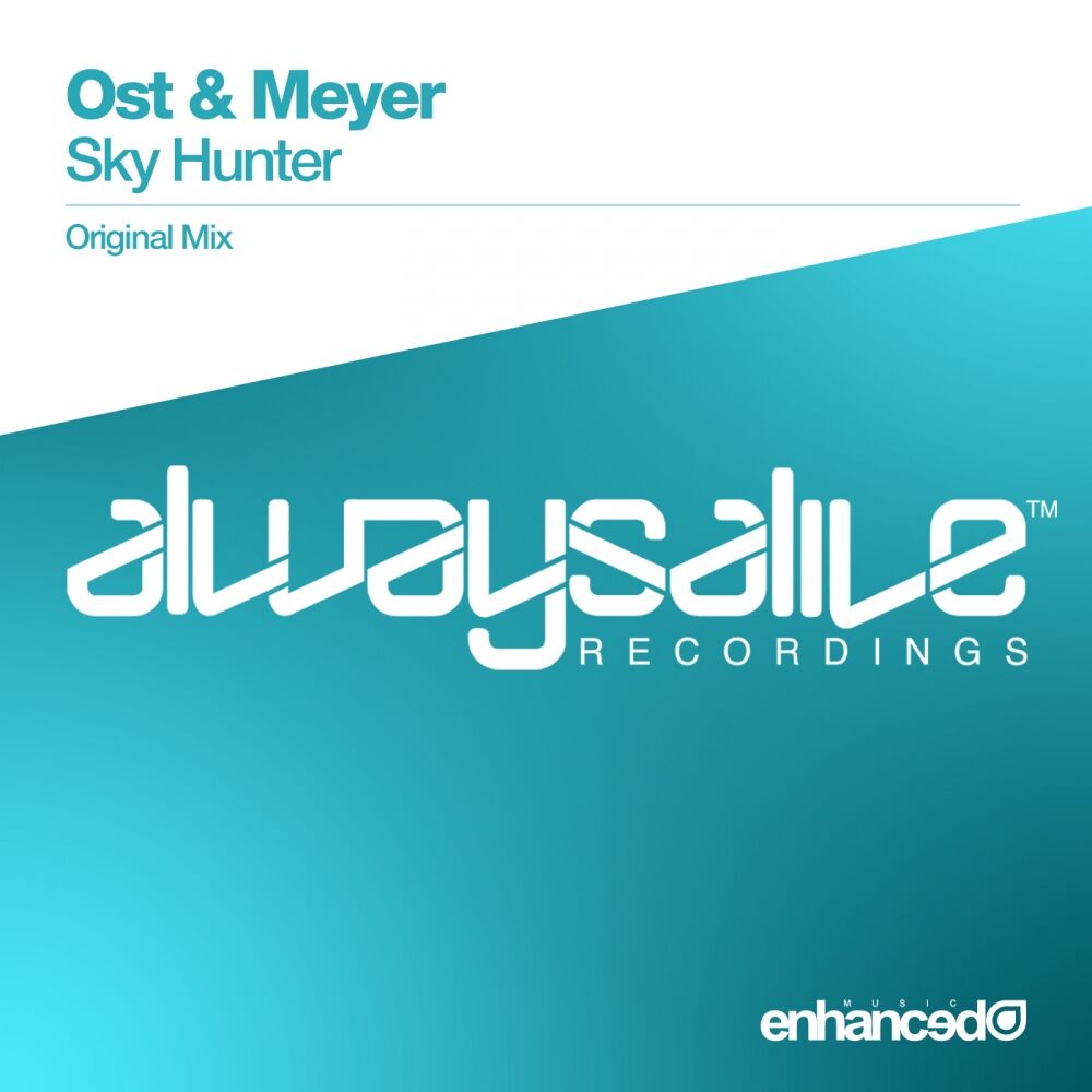 Picture of Sky Hunter
