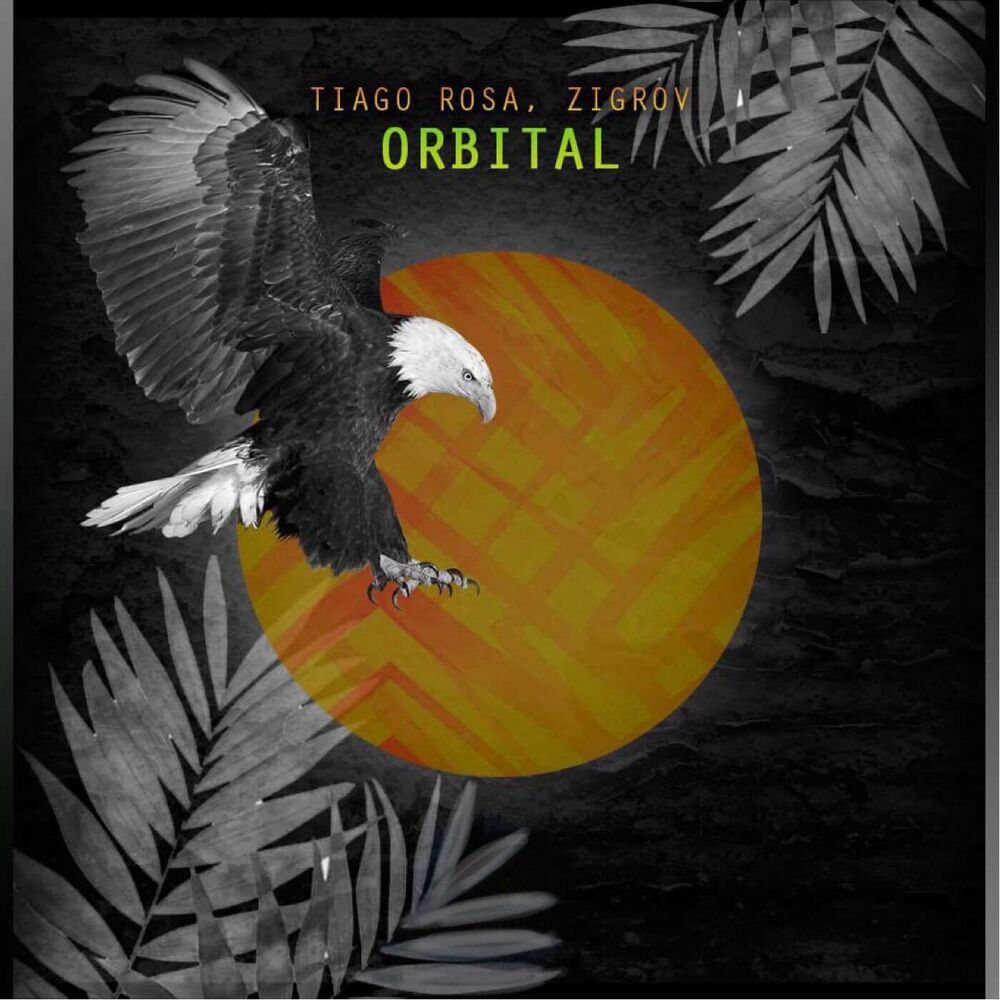 Picture of Orbital