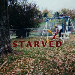 Cover of Starved
