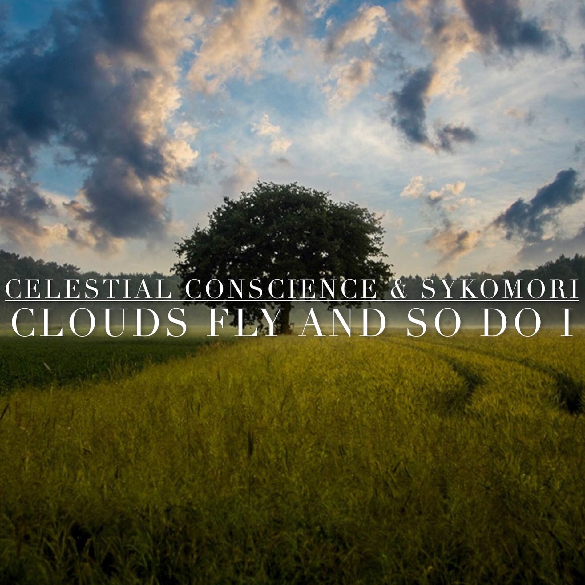 Album cover of Clouds Fly And So Do I