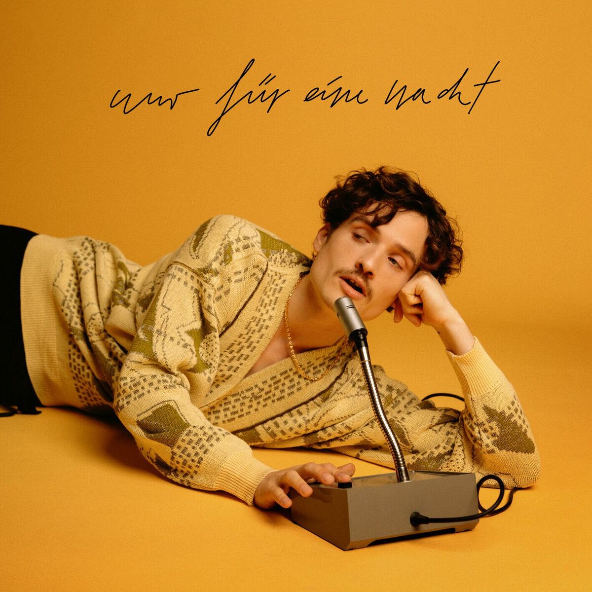 Album cover of Nur für eine Nacht