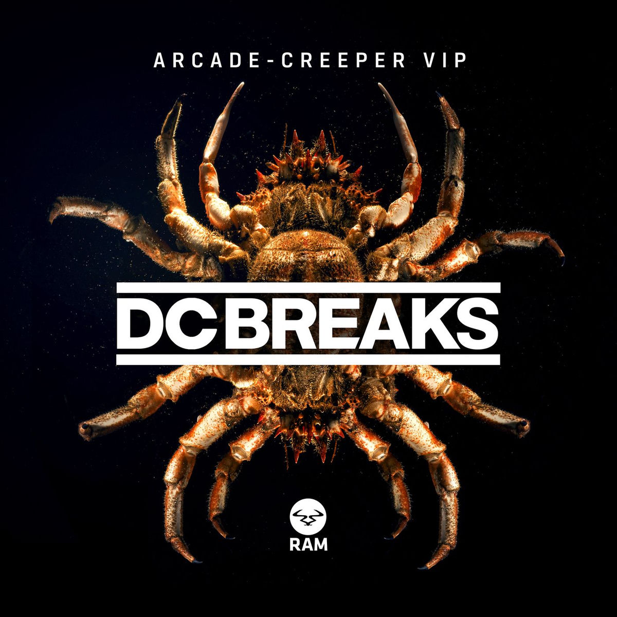Album cover of Arcade / Creeper VIP