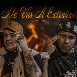 Cover of Me vas a extrañar